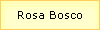 Rosa Bosco